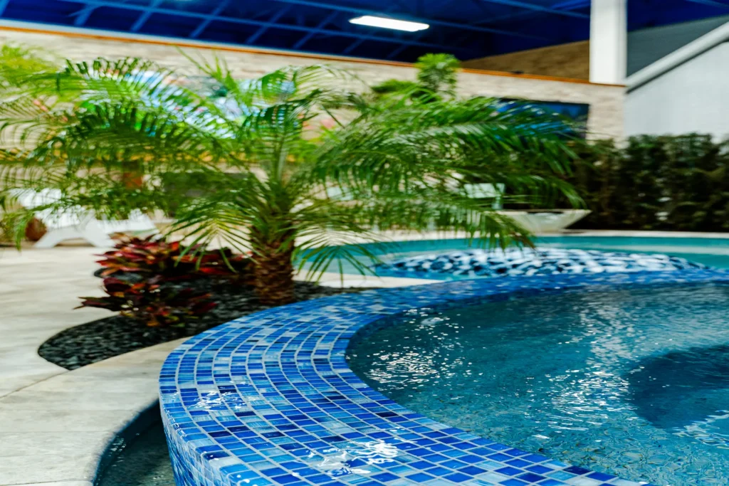 Glass-tile spa edge and palm in the display pool